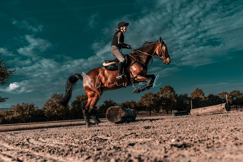 AvenchesJK-7398 | Sportbilder, Sportfotograf, Hochzeits- und Eventfotografin, Flugshows, Portraits und Tiershooting, Aviation, Downhill, Nationalleague, Swissleague, International
