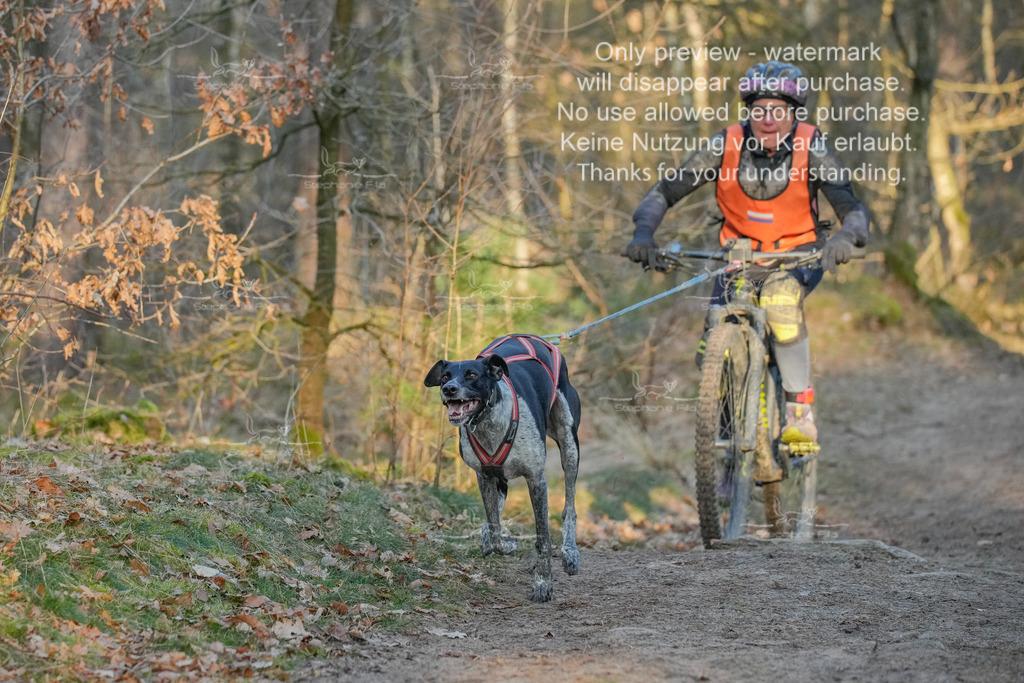 Sa_Bike-262 | stephaniefillaphotographie - Realisiert mit Pictrs.com