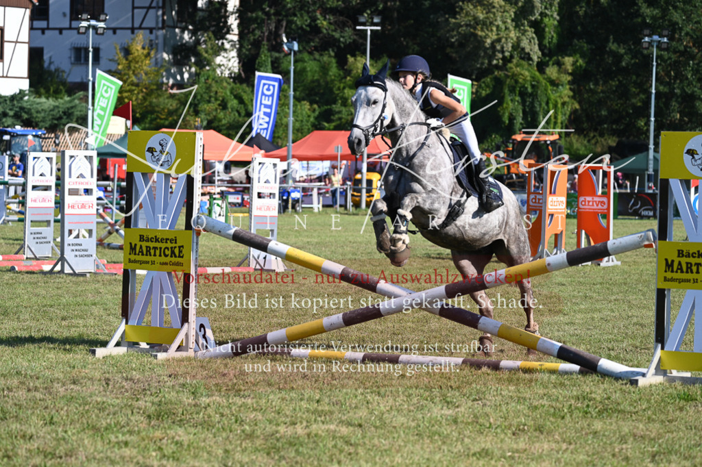 DSC_5056 | Pferde- und Turnierfotografie in Westsachsen. Pferdeportraits, Auftragszeichnungen und intuitive Kunst.