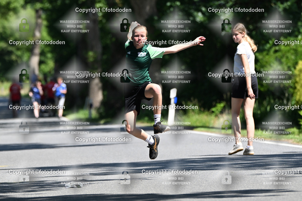 DSC_1300 | Ida Harms / Südarle / wJD Holz