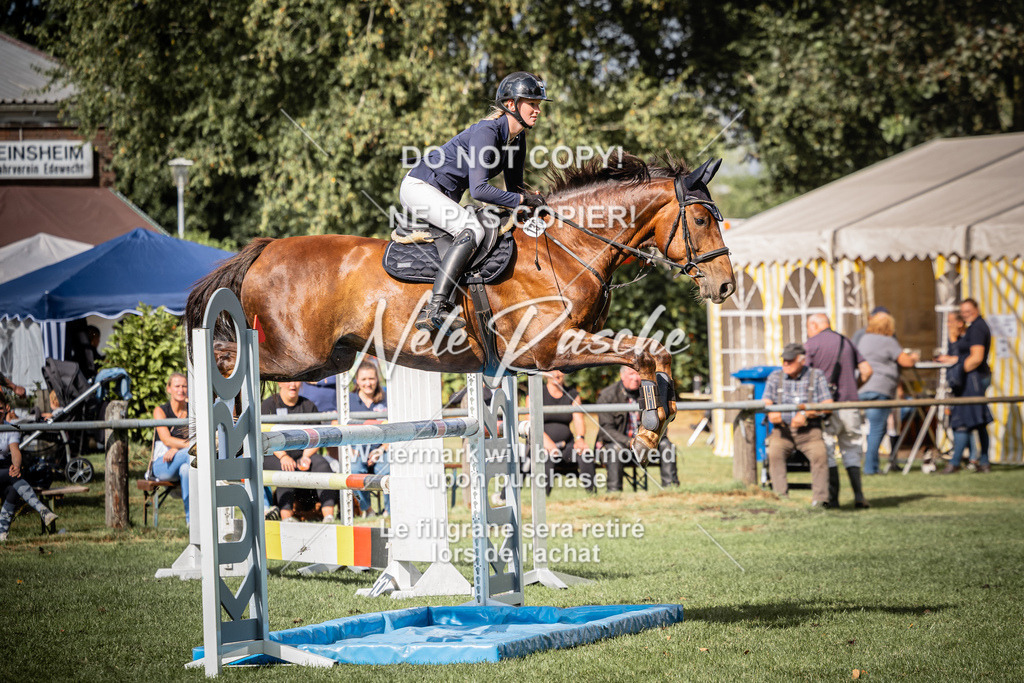nelerasche_SprL115Ede_30 | nelerasche