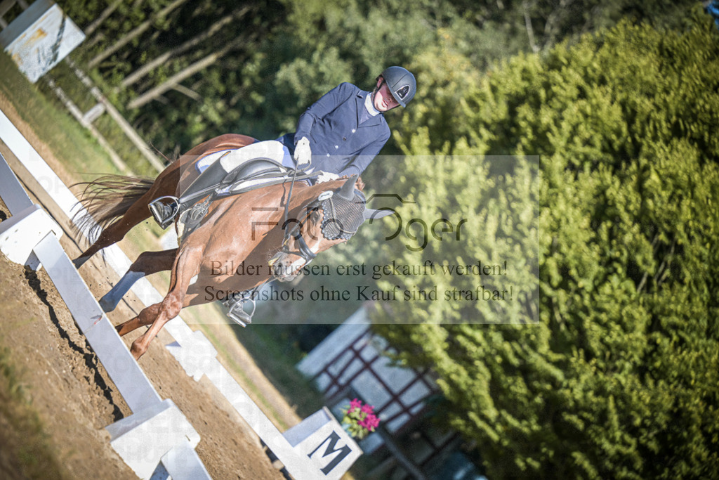DOS_1801 | Entdecke hochwertige Reitturnierfotos von Foto Oger. Professionell, emotional und authentisch – jetzt Lieblingsmomente im Shop bestellen.Deutschlandweite Turnierfotografie. - Realisiert mit Pictrs.com