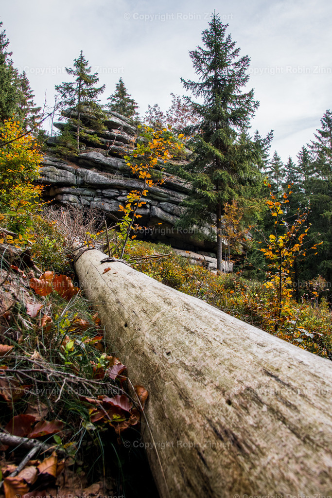 Ahornfels-6 | Robin Zinnert - Realisiert mit Pictrs.com