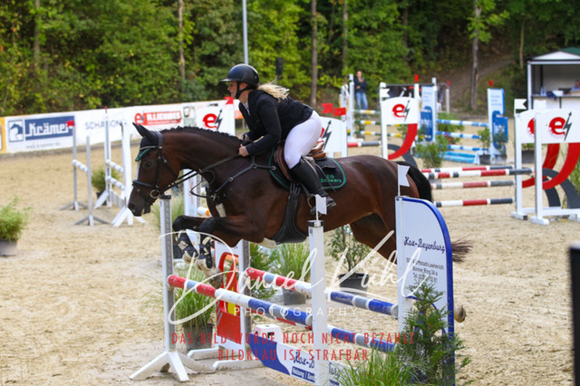 DKP40516 | Turniersportfotografie; Pferdefotografie; Dressurfotografie