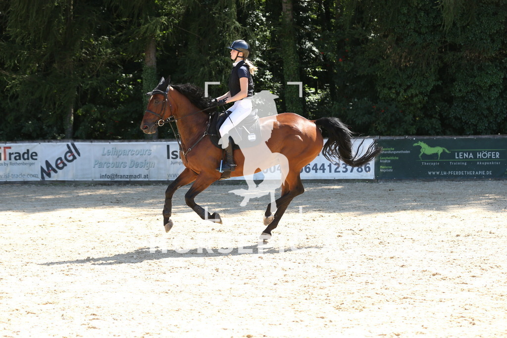 DL2Q9848 | Willkommen bei Brunnmayr - Design & Fotografie – Ihrem Spezialisten für Reitturniere und Pferdeveranstaltungen in Oberösterreich, Salzburg und Bayern! Seit über 17 Jahren sind wir leidenschaftlich dabei.