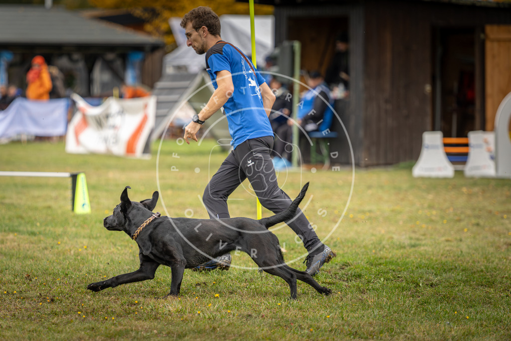 Pfotenfotografie_DV3A4847 | Hundefotografie, Tierfotograf, Pfotenfotografie, Fotoshooting Hund, Hunde Portrait, Hundesport, Hundeportraits, Heideshooting, Hunde, Sportfotograf, Hundefotograf, Turnierhundsport, THS,  - Realisiert mit Pictrs.com