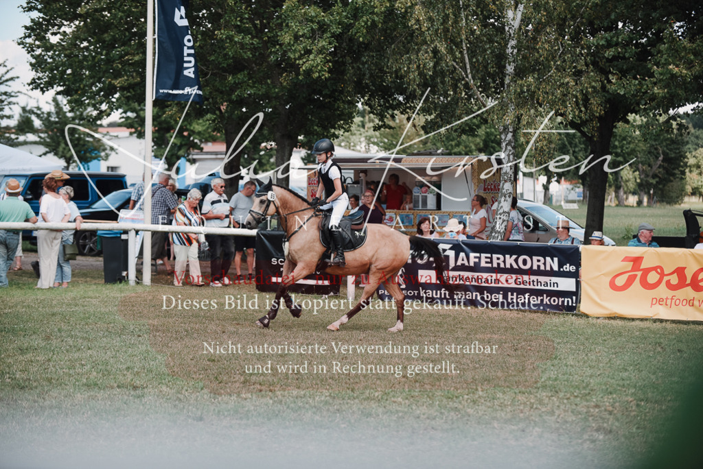 DSC_5844 | Pferde- und Turnierfotografie in Westsachsen. Pferdeportraits, Auftragszeichnungen und intuitive Kunst.