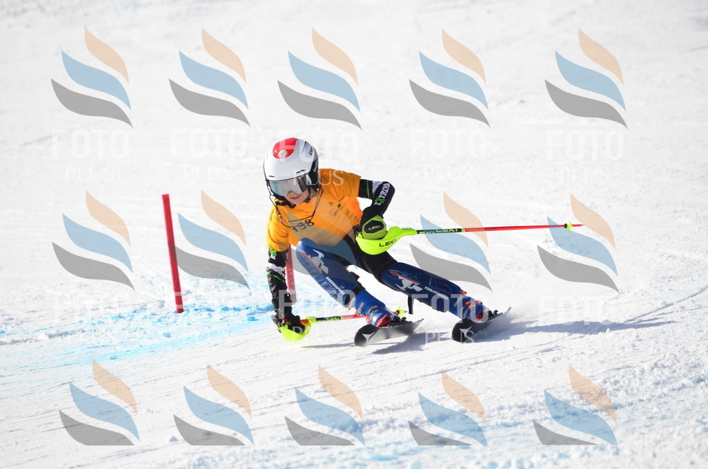 C6508 | holidayphoto