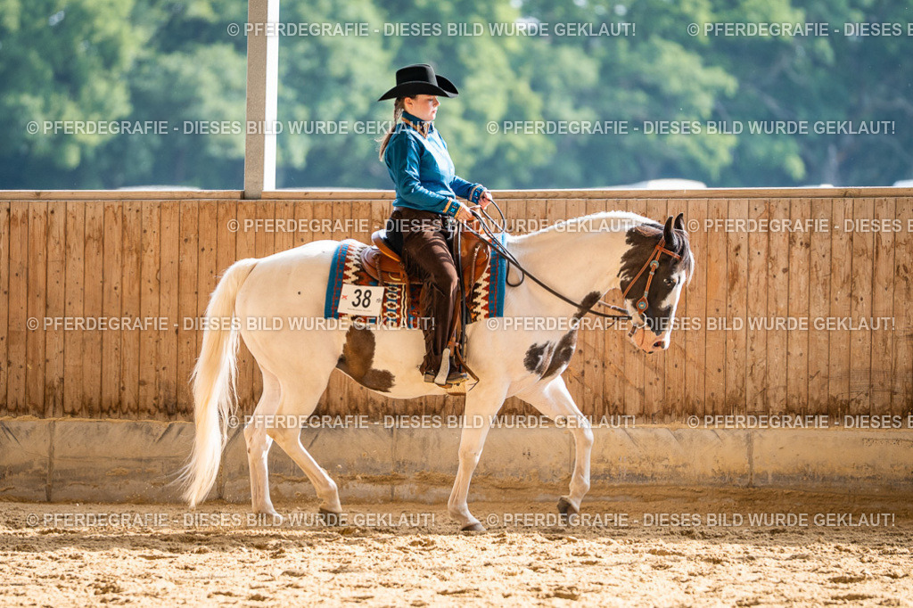 DSC08017 | Pferdegrafie