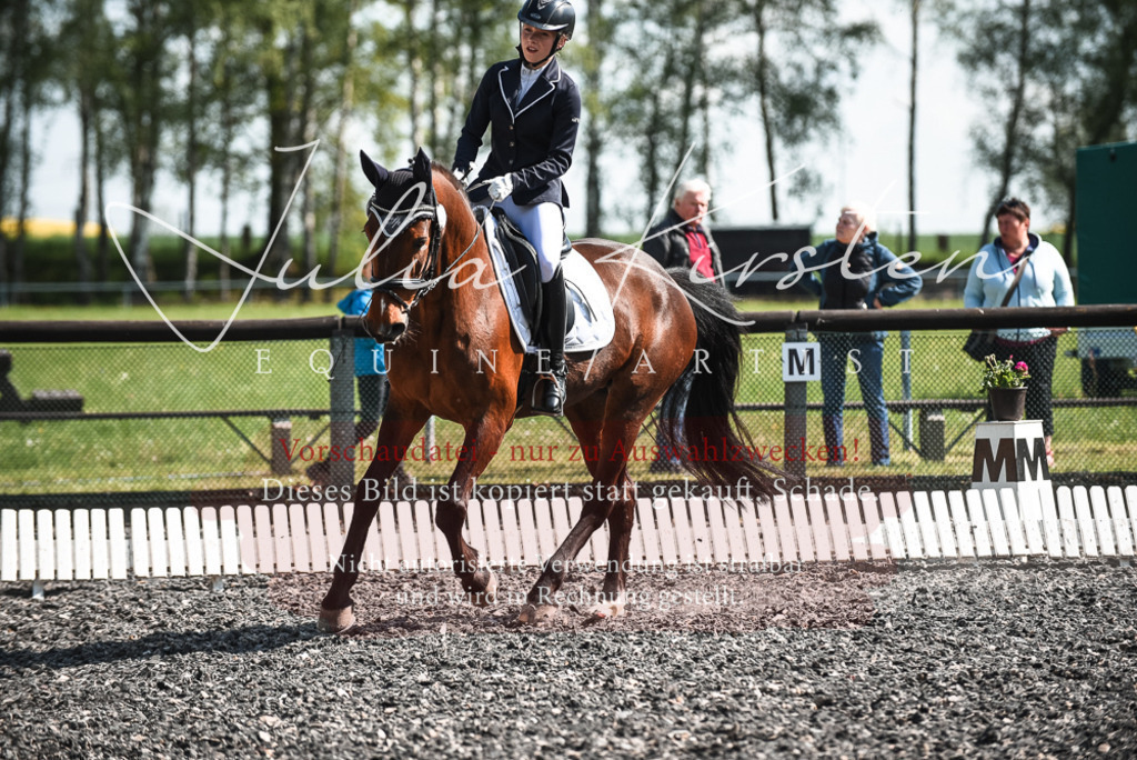 DSC_8891 | Pferde- und Turnierfotografie in Westsachsen. Pferdeportraits, Auftragszeichnungen und intuitive Kunst.