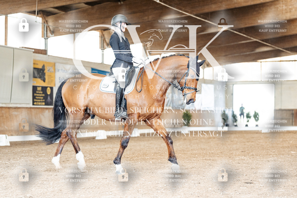 CK901059 | Turnierfotografie Pferdefotografie Trier Rheinland-Pfalz Pferdesport Reitsport Tierfotografie Sportfotografie Pferdevideo Pferdevideografie Equestrianvideography equestrianphotography  - Realisiert mit Pictrs.com