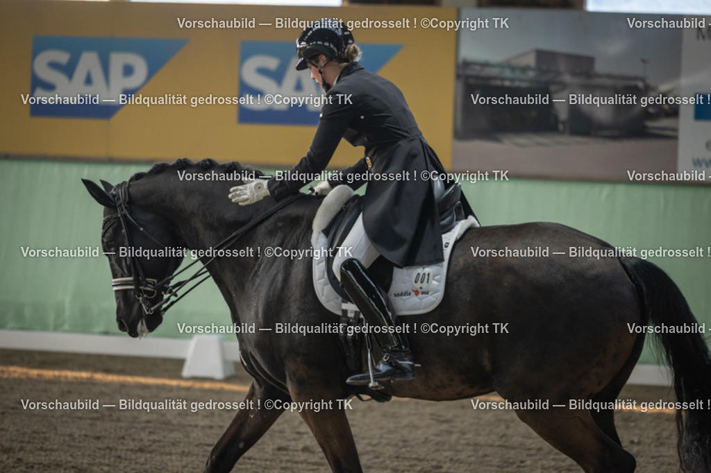 _D5A7684 | Emotionale Pferde- & People-Fotografie rund um Heidelberg, Leimen & Umgebung. Natürliche Fotos von Pferd, Mensch & Familie. Jetzt Termin sichern!