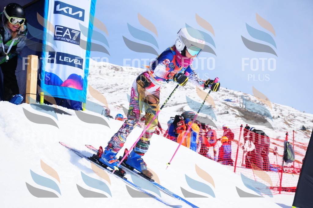 DSC_1246 | holidayphoto