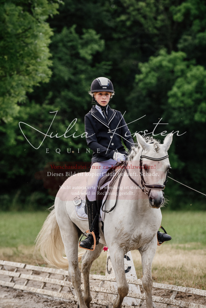 DSC_9423 | Pferde- und Turnierfotografie in Westsachsen. Pferdeportraits, Auftragszeichnungen und intuitive Kunst.