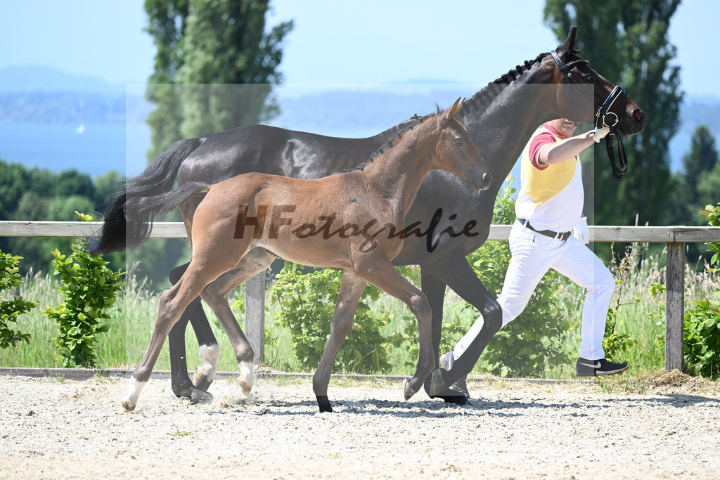 Kat-Nr. 6 SF Escolar_Knott_15230347 | hf-fotografie - Realizzato con Pictrs.com