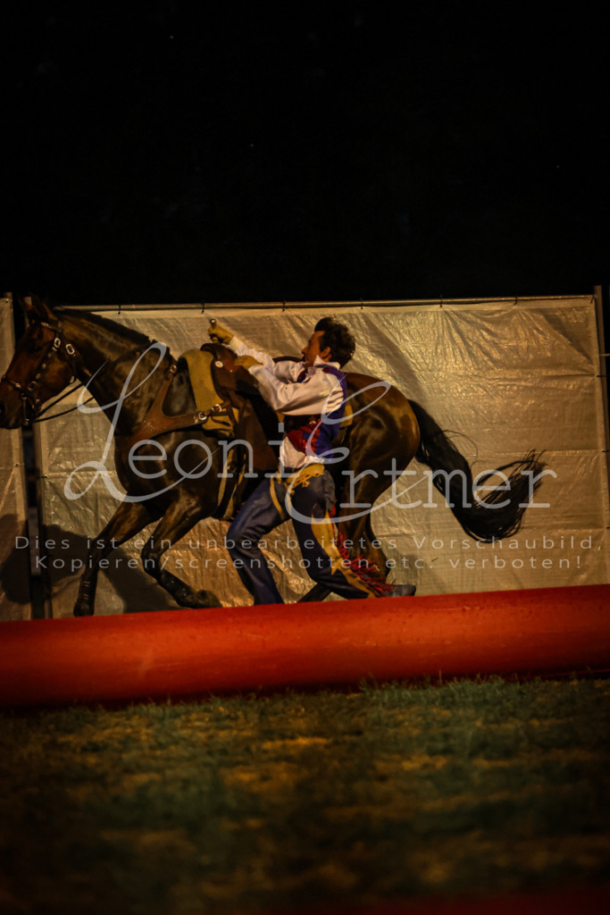 SaShow00365 | Leoni Ertmer Photography - Realisiert mit Pictrs.com