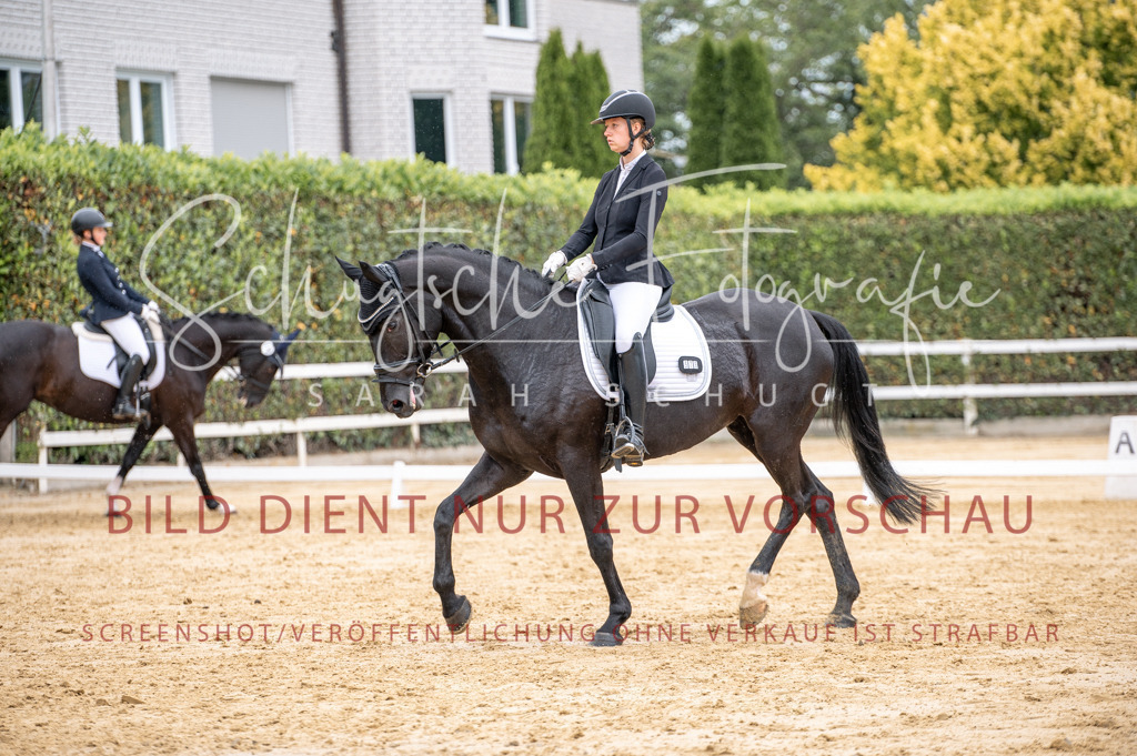 Schugtsche-Aluta25-41.Amat-Dressurprf.A_-412 | Schugtsche Fotografie - Realisiert mit Pictrs.com