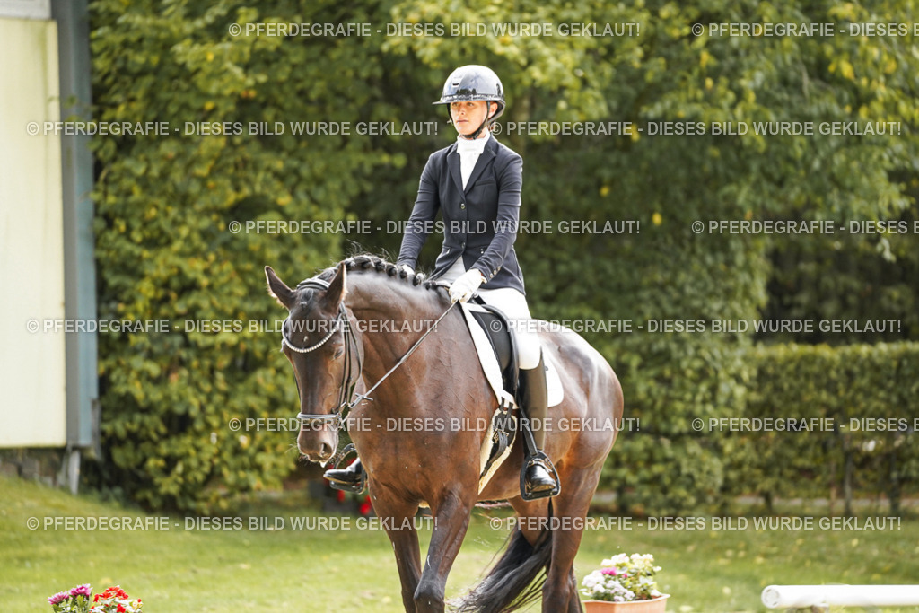 DSC00818 | Pferdegrafie