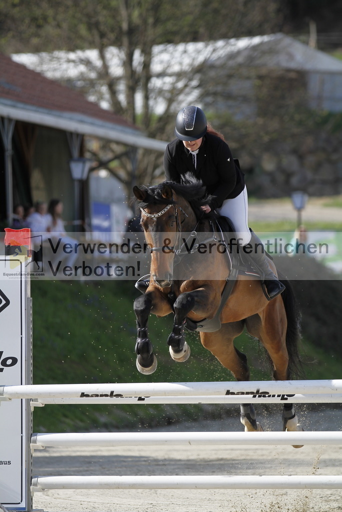 _MG_8136 | equestrian-live-com