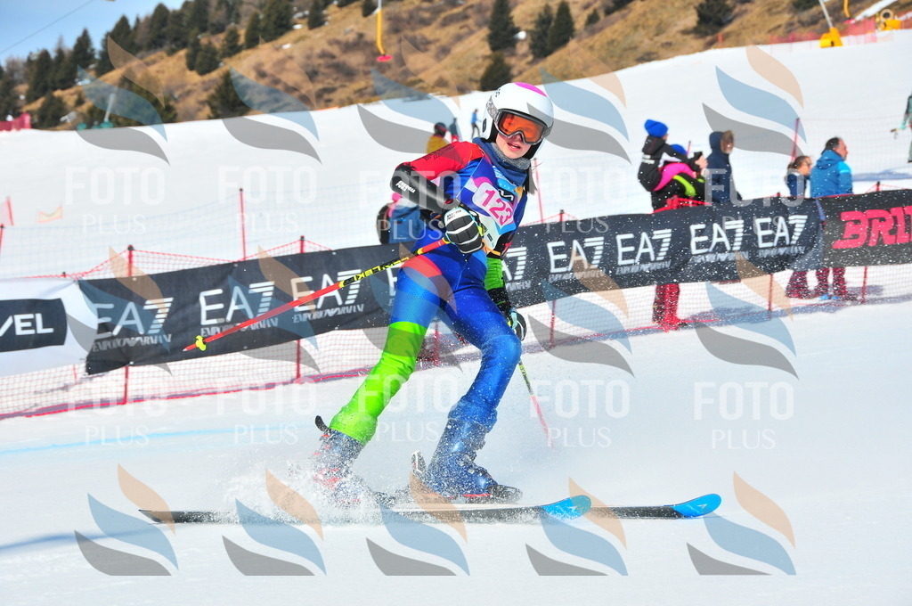 DSC_4801 | holidayphoto