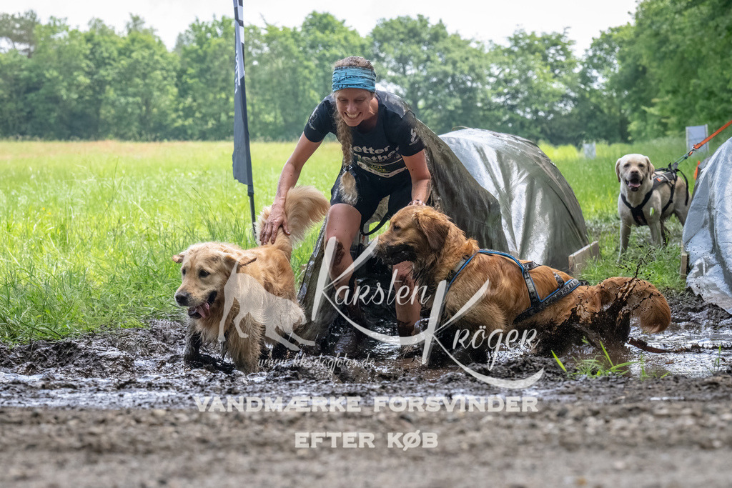 1145_ZZ94358-Bearbeitet | kk-dogfotos