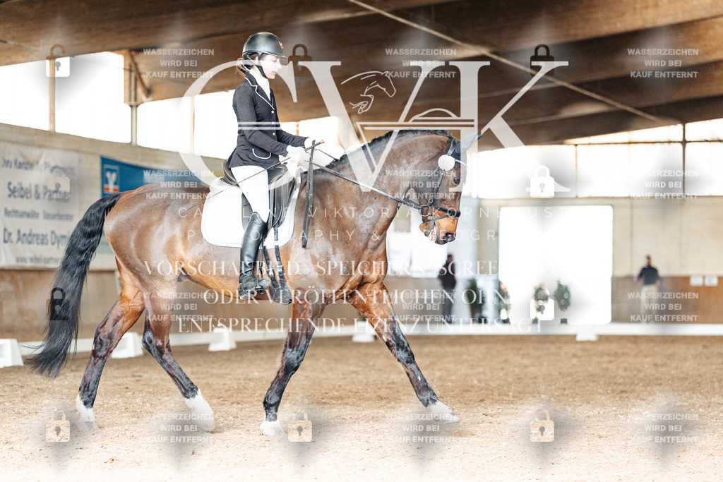 CK901908 | Turnierfotografie Pferdefotografie Trier Rheinland-Pfalz Pferdesport Reitsport Tierfotografie Sportfotografie Pferdevideo Pferdevideografie Equestrianvideography equestrianphotography  - Realisiert mit Pictrs.com