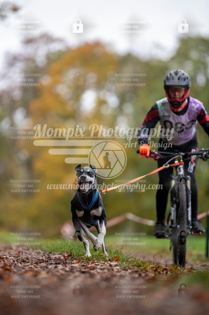 DBT_DAKM_SA_4_11_2023_Bike-65 | PayLife