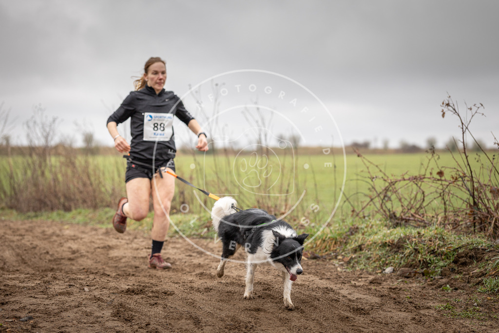 DV3A9960 | Hundefotografie, Tierfotograf, Pfotenfotografie, Fotoshooting Hund, Hunde Portrait, Hundesport, Hundeportraits, Heideshooting, Hunde, Sportfotograf, Hundefotograf, Turnierhundsport, THS,  - Realisiert mit Pictrs.com