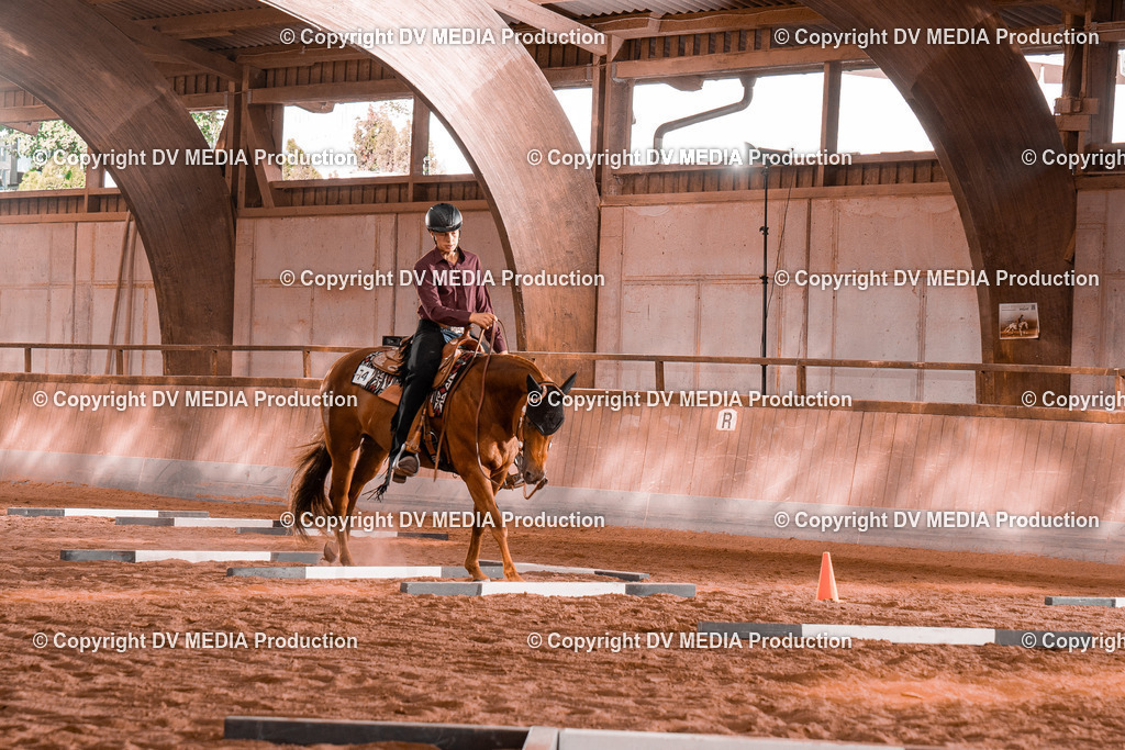 NE300104 | dv-media-shop - Realisiert mit Pictrs.com