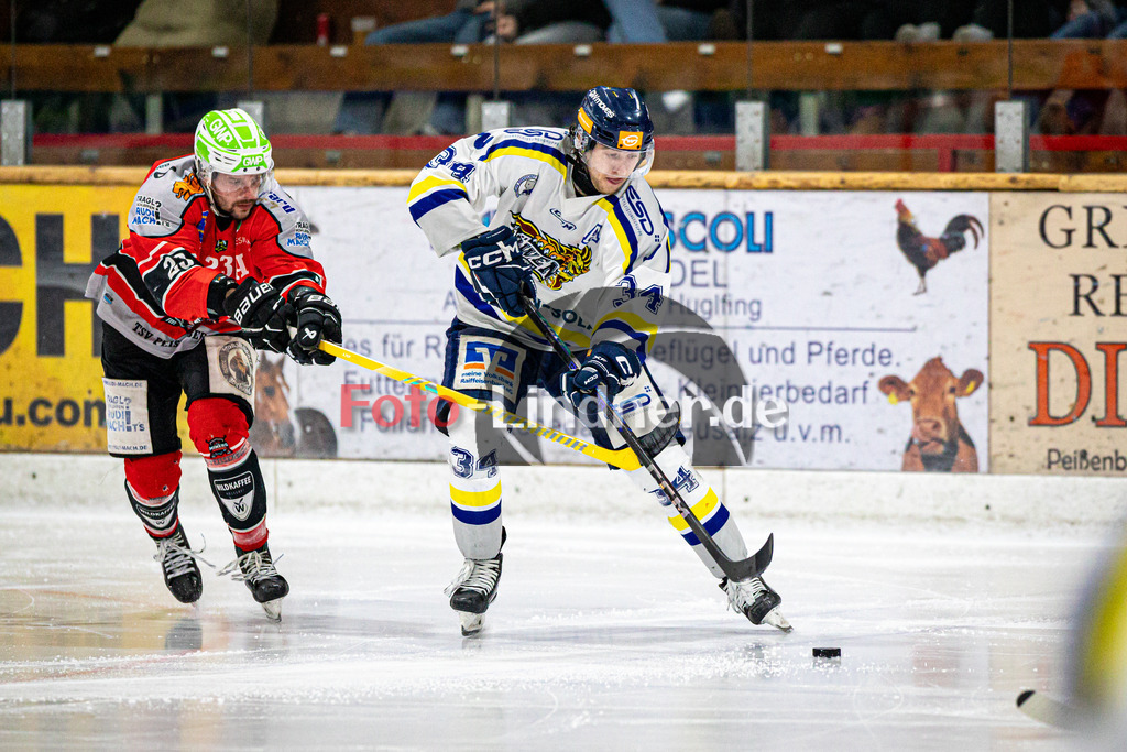 TSV Peißenberg MINERS gegen EHC Waldkraiburg DIE LÖWEN | Eishockey Bayernliga Herren Vorrunde 2024/25, TSV Peißenberg MINERS gegen EHC Waldkraiburg DIE LÖWEN, 20250124,Leon DECKER (EHC Waldkraiburg 34) am Puck,2025-01-24 in Peißenberg (Eisstadion Peißenberg)Leon DECKER (EHC Waldkraiburg 34)Copyright: WolfgangxLindner foto-lindner.de