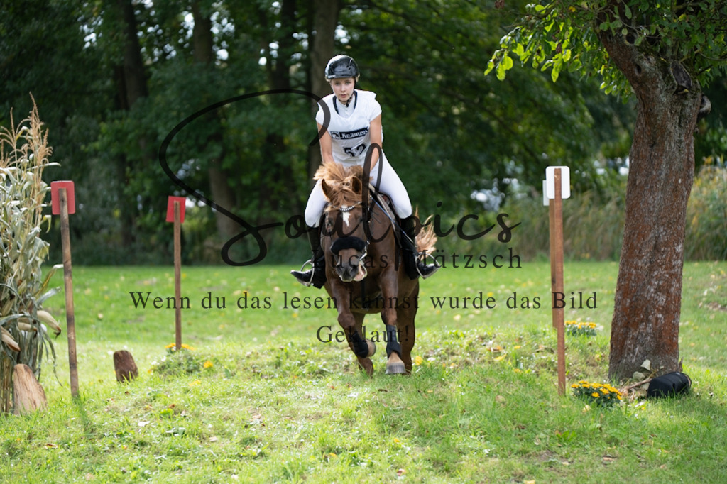 A7V03530 | Pferdefotograf