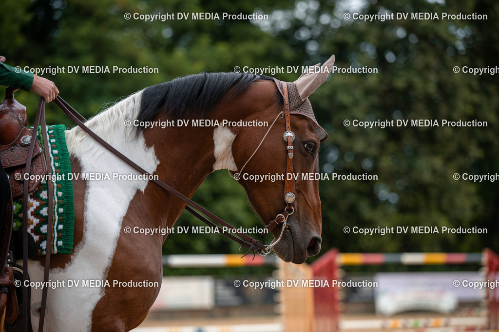 ZS2_7746 | dv-media-shop - Realisiert mit Pictrs.com