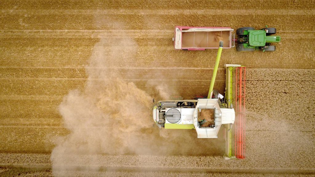 2026-07-13sig303bap | Ditzingen Schöckingen - Da die Hitzewelle und die Dürre weiterhin anhalten, stehen die Landwirte bei der Ernte vor immer größeren Herausforderungen, unter anderem aufgrund der riesigen Staubmengen, die dabei aufgewirbelt werden - Realisiert mit Pictrs.com