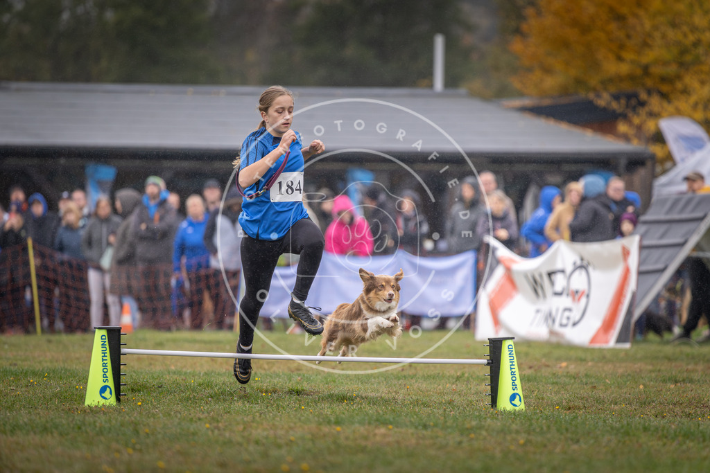 Pfotenfotografie_DV3A9708 | Hundefotografie, Tierfotograf, Pfotenfotografie, Fotoshooting Hund, Hunde Portrait, Hundesport, Hundeportraits, Heideshooting, Hunde, Sportfotograf, Hundefotograf, Turnierhundsport, THS,  - Realisiert mit Pictrs.com
