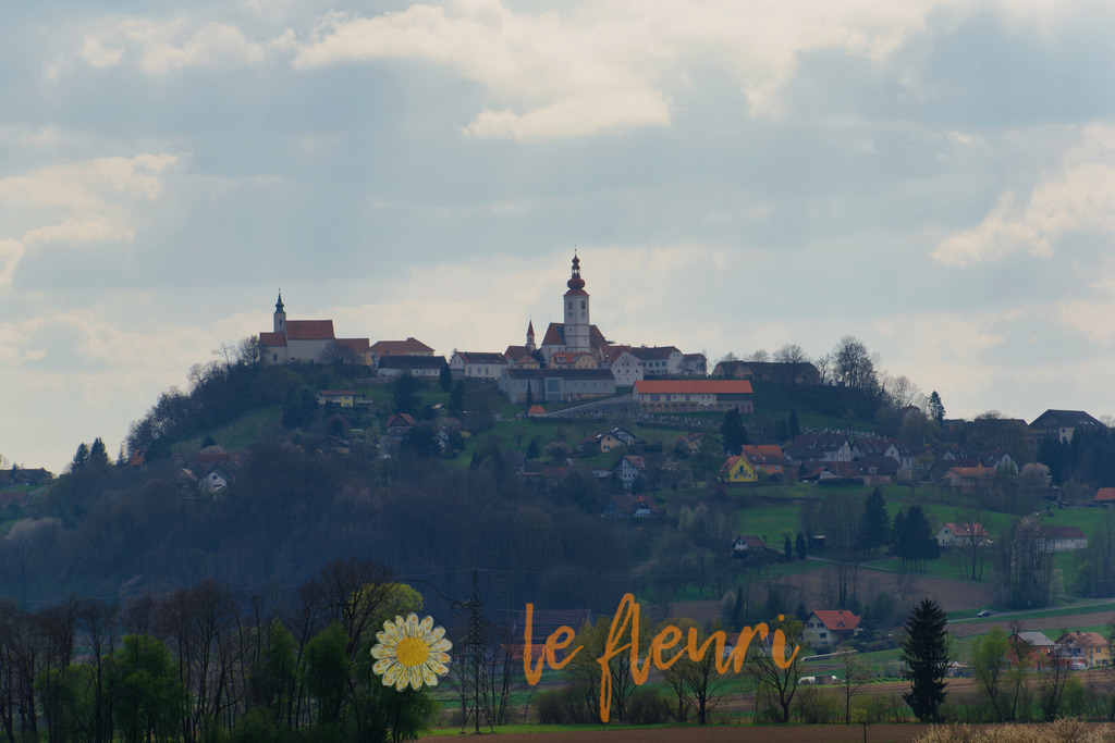DSC_0102-NEF_DxO_DeepPRIME | Dies ist der Shop von Florian Blum - le fleuri. Langenthal, Bern, Schweiz. Sie können hier meine oder ihre eigenen Fotos als Fotoprodukte kaufen. Tassen, Schlüsselanhänger, Taschen etc. können Sie hier gestalten.  - Realisiert mit Pictrs.com