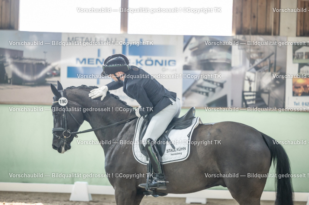 _D5A0917 | Emotionale Pferde- & People-Fotografie rund um Heidelberg, Leimen & Umgebung. Natürliche Fotos von Pferd, Mensch & Familie. Jetzt Termin sichern!