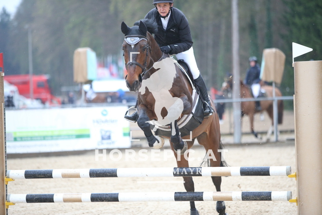 AS8V1747 | Willkommen bei Brunnmayr - Design & Fotografie – Ihrem Spezialisten für Reitturniere und Pferdeveranstaltungen in Oberösterreich, Salzburg und Bayern! Seit über 17 Jahren sind wir leidenschaftlich dabei.