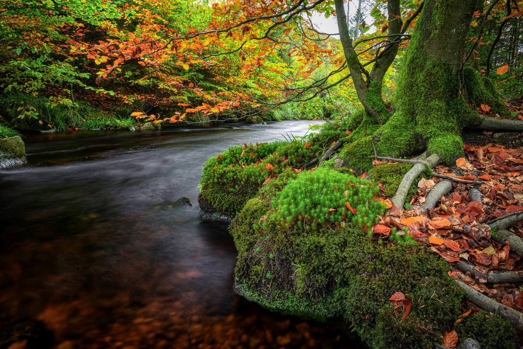 Bode im Herbst | Wandbilder - Florian Läufer - Realisiert mit Pictrs.com