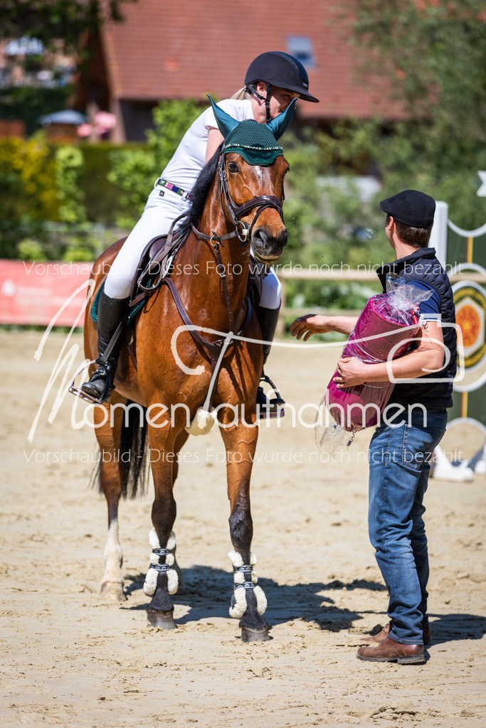Donop24-L-Spr-056 | MomenTaufnahmen Pferdesportfotos