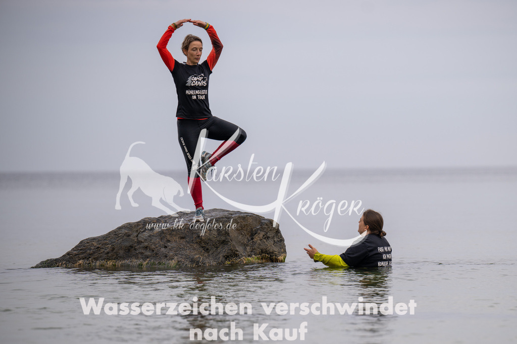 1317_ZZ94179 | kk-dogfotos