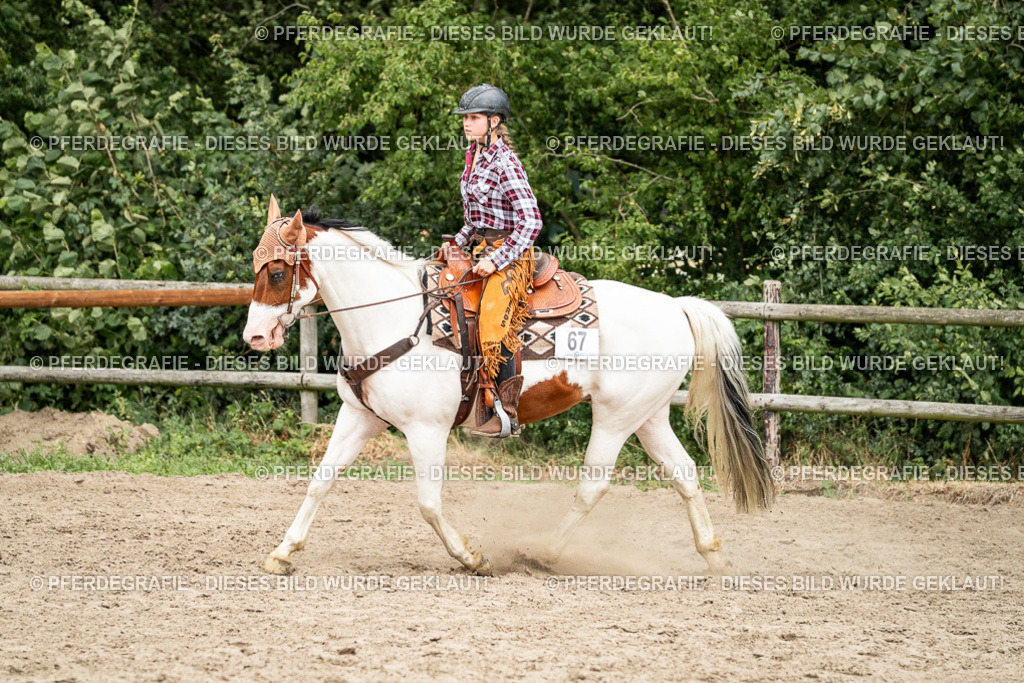 DSC01174 | Pferdegrafie