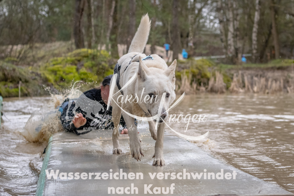 0922_ZZ90791-Bearbeitet | kk-dogfotos