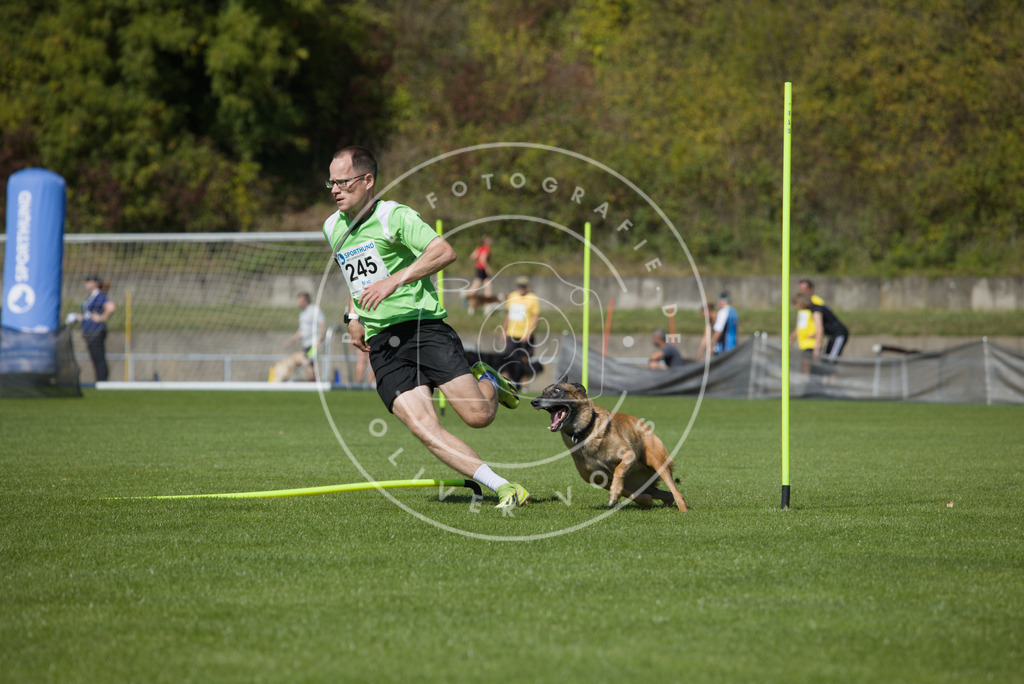 0L8A6216 | Hundefotografie, Tierfotograf, Pfotenfotografie, Fotoshooting Hund, Hunde Portrait, Hundesport, Hundeportraits, Heideshooting, Hunde, Sportfotograf, Hundefotograf, Turnierhundsport, THS,  - Realisiert mit Pictrs.com