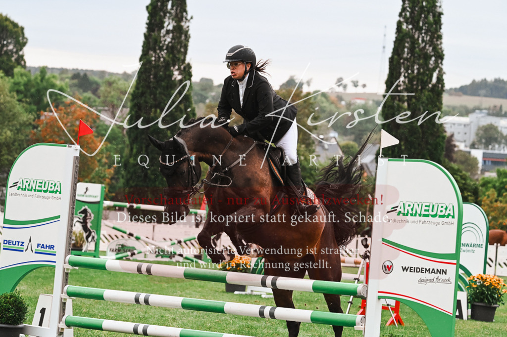 DSC_6446 | Pferde- und Turnierfotografie in Westsachsen. Pferdeportraits, Auftragszeichnungen und intuitive Kunst.