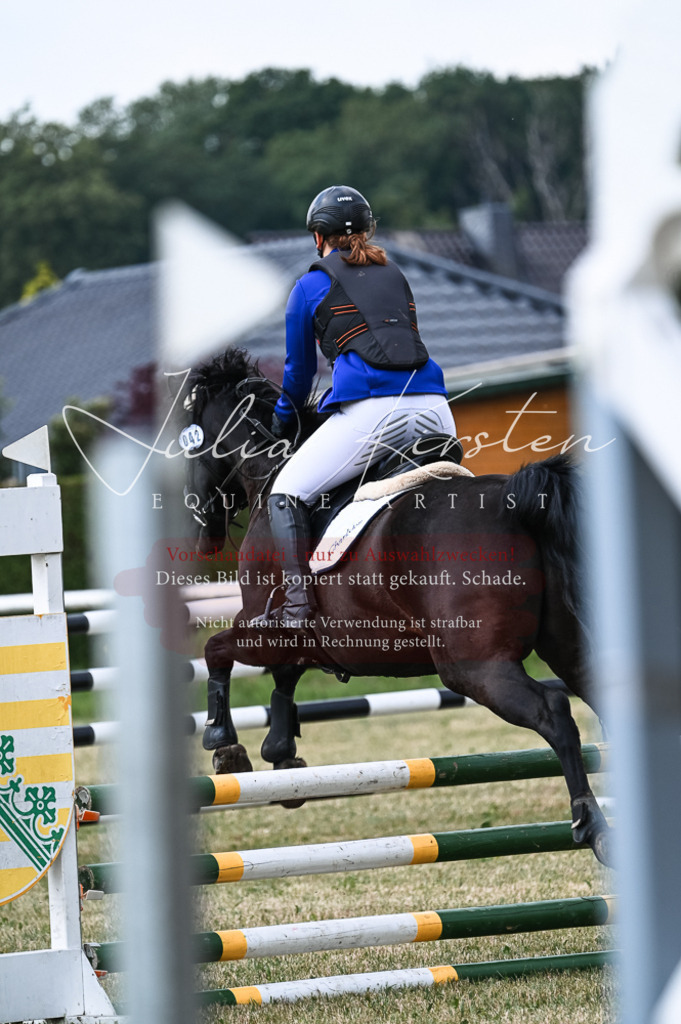 DSC_8972 | Pferde- und Turnierfotografie in Westsachsen. Pferdeportraits, Auftragszeichnungen und intuitive Kunst.
