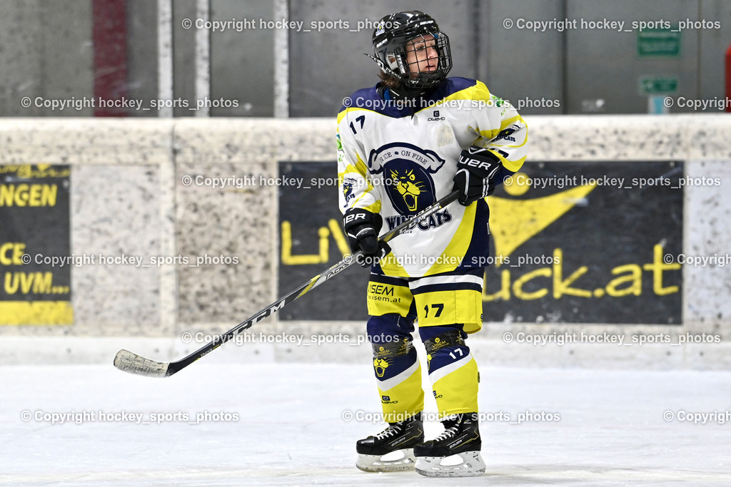 Wildcats Paternion vs. Lady Hawks  | #17 Kleindienst-Anton Anita Wildcats Paternion, Wildcats Paternion vs. Lady Hawks , Wildcats Paternion vs. Lady Hawks  am 27.01.2025 in Spittal an der Drau (Eissportzentrum Spittal), Austria, (Photo by Bernd Stefan)