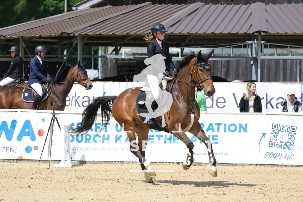 0P6A6981 | Willkommen bei Brunnmayr - Design & Fotografie – Ihrem Spezialisten für Reitturniere und Pferdeveranstaltungen in Oberösterreich, Salzburg und Bayern! Seit über 17 Jahren sind wir leidenschaftlich dabei.