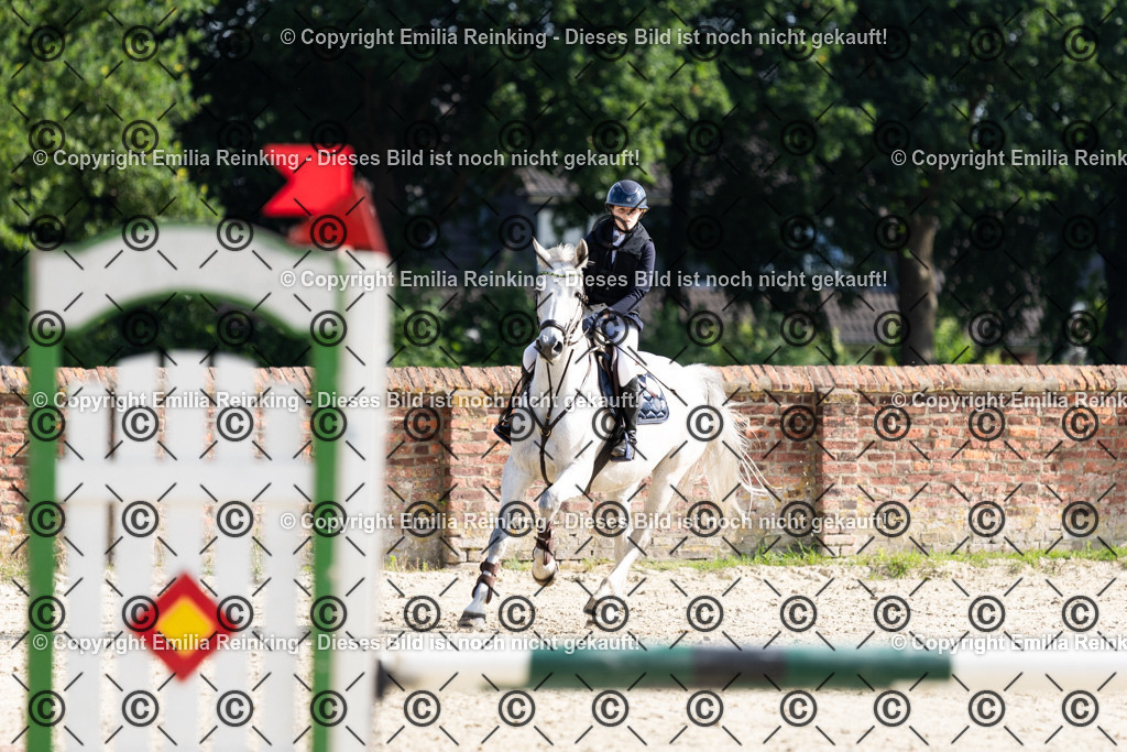 CL5A6161 | Emilia Reinking Fotografie - Realisiert mit Pictrs.com