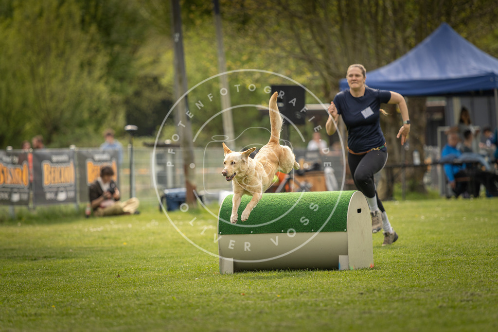 Pfotenfotografie_DV3A6427 | Hundefotografie, Tierfotograf, Pfotenfotografie, Fotoshooting Hund, Hunde Portrait, Hundesport, Hundeportraits, Heideshooting, Hunde, Sportfotograf, Hundefotograf, Turnierhundsport, THS,  - Realisiert mit Pictrs.com