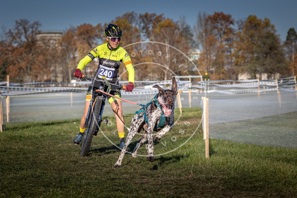 CaniXpix_0L8A4837 | Hundefotografie, Tierfotograf, Pfotenfotografie, Fotoshooting Hund, Hunde Portrait, Hundesport, Hundeportraits, Heideshooting, Hunde, Sportfotograf, Hundefotograf, Turnierhundsport, THS,  - Realisiert mit Pictrs.com